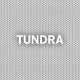 https://www.coolaroousa.com/media/uploads/CustomHouse_Tundra.jpg