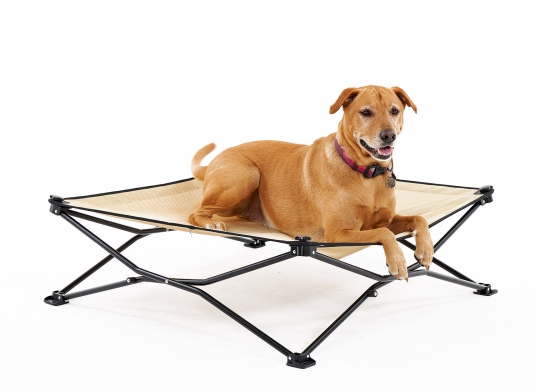 Carlson elevated sales folding pet bed