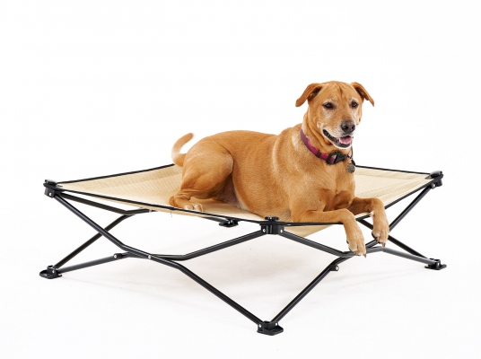 Carlson elevated folding pet bed outlet