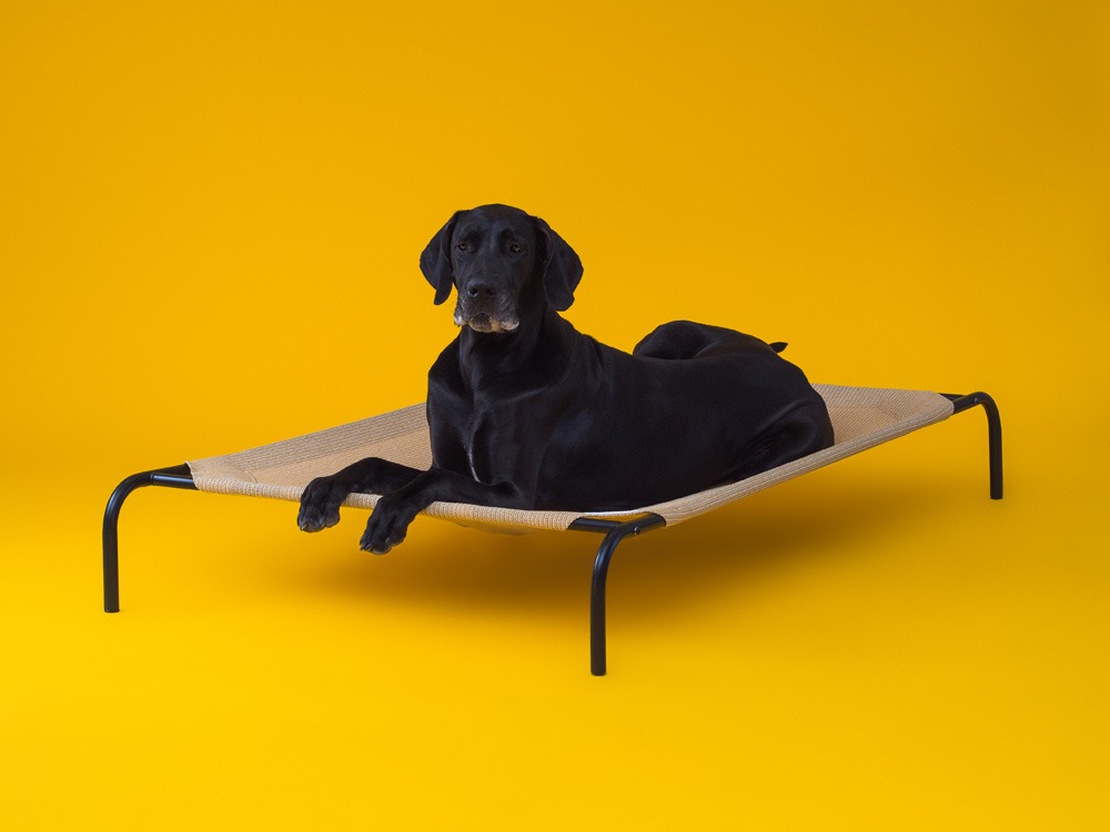 The Original Elevated Pet Bed by Coolaroo 